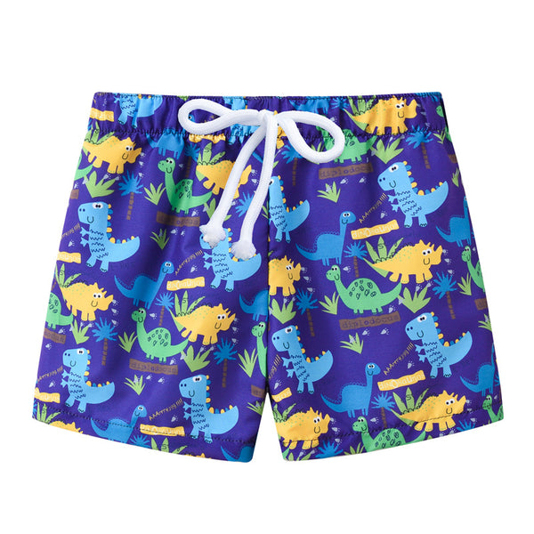 Dinosaur Print Quick Dry Boys Swim Trunks