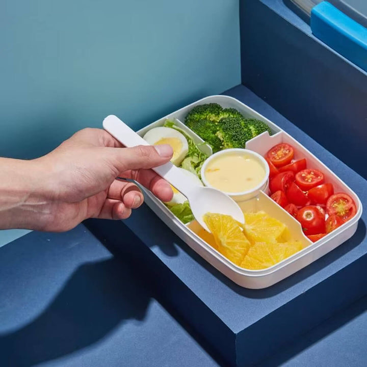Bento box with removable tray of compartments & sauce container 