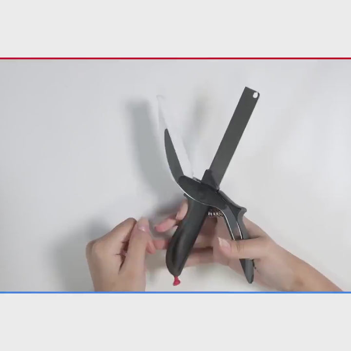Video of 2-in-2 vehetables scissor and chopper