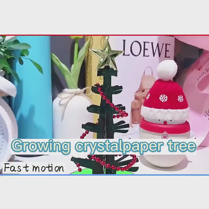 Video of kids science kit with green crystal growing Christmas tree experiment