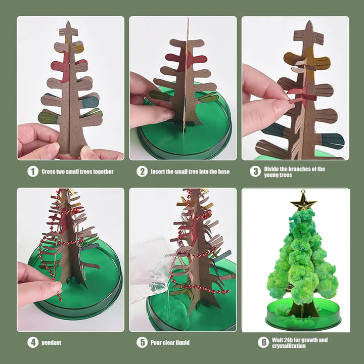 Step-by-step crystal growing experiment with festive Christmas tree design