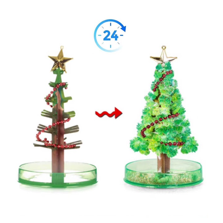 DIY crystal tree science experiment for children, 24 hours to grow the leaves