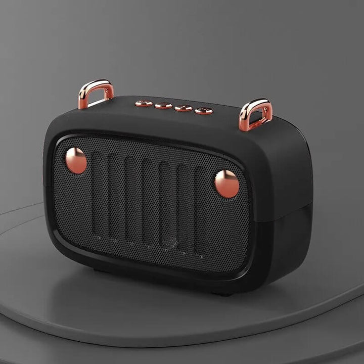Wireless Bluetooth Speaker with FM Radio – Portable Sound System Black